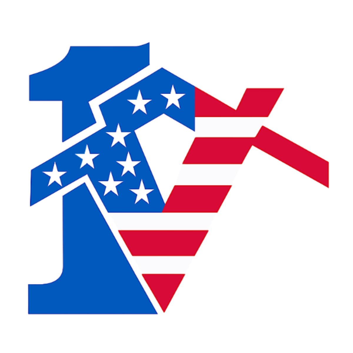 1 Vision USA